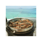 Gril na dřevěné uhlí COBB Pro Black + TAŠKA + GRILOVACÍ MŘÍŽKA