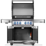 Napoleon ROGUE PRO S 525 černý | Plynový gril