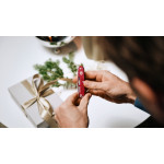 Victorinox SYNERGY X Alox 93 mm stříbrný