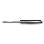 Victorinox OUTDOOR MASTER MIC S