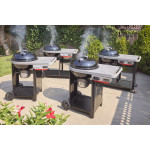 Weber PERFORMER 57 cm | Kotlový gril s vozíkem