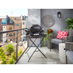 Weber Q 1100 N | Plynový gril