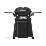 Weber Q 2200 N STAND PREMIUM | Plynový gril