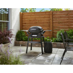 Weber Q 2200 N STAND | Plynový gril
