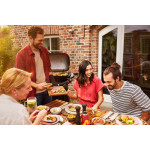 Weber Q 2800 N + STAND PREMIUM | Plynový gril