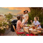 Weber Q 2800 N + STAND PREMIUM | Plynový gril