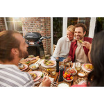 Weber Q 2800 N + STAND PREMIUM | Plynový gril