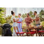 Weber Q 2800 N + STAND PREMIUM | Plynový gril