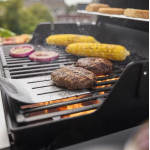 Weber SPIRIT E-210 černý | Plynový gril