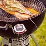 Weber iGrill 2 | Chytrý digitální teploměr (7221)