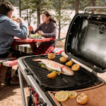 Weber TRAVELER černý | Přenosný plynový gril