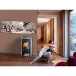 Krbová kamna Haas Sohn MADEIRA speckstein antik