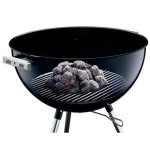 Grilovací brikety WEBER | 8 kg